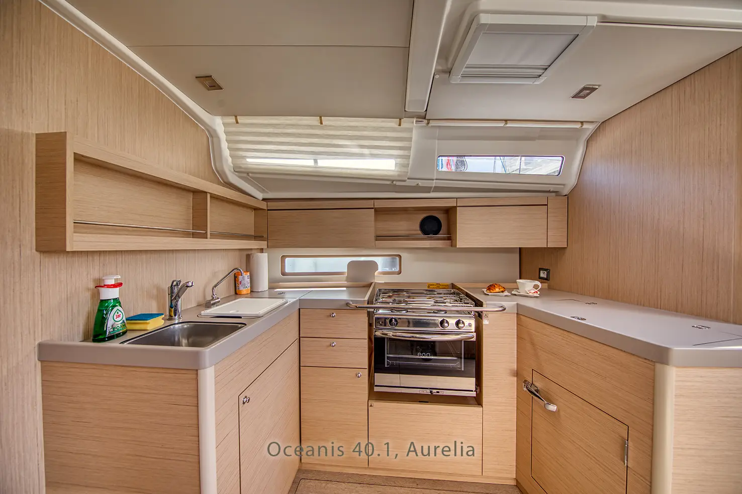 Aurelia, photograph 13