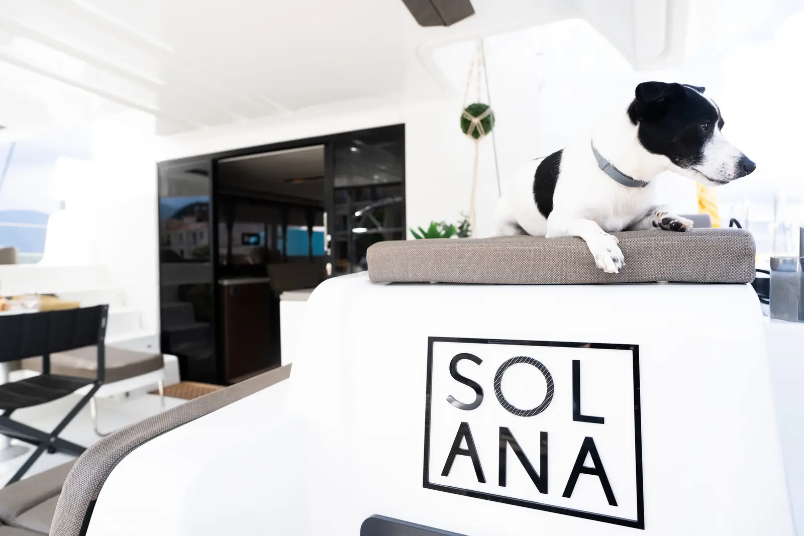 Solana, photograph 6