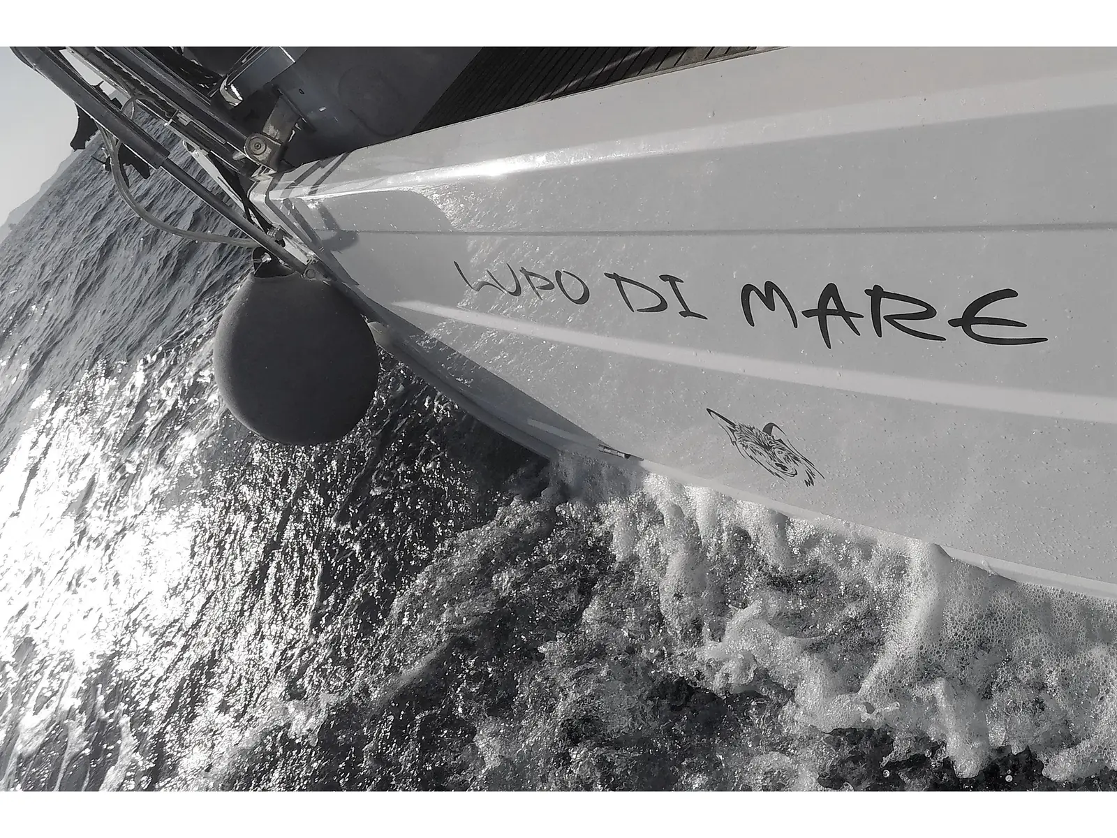 Lupo Di Mare, Interior image