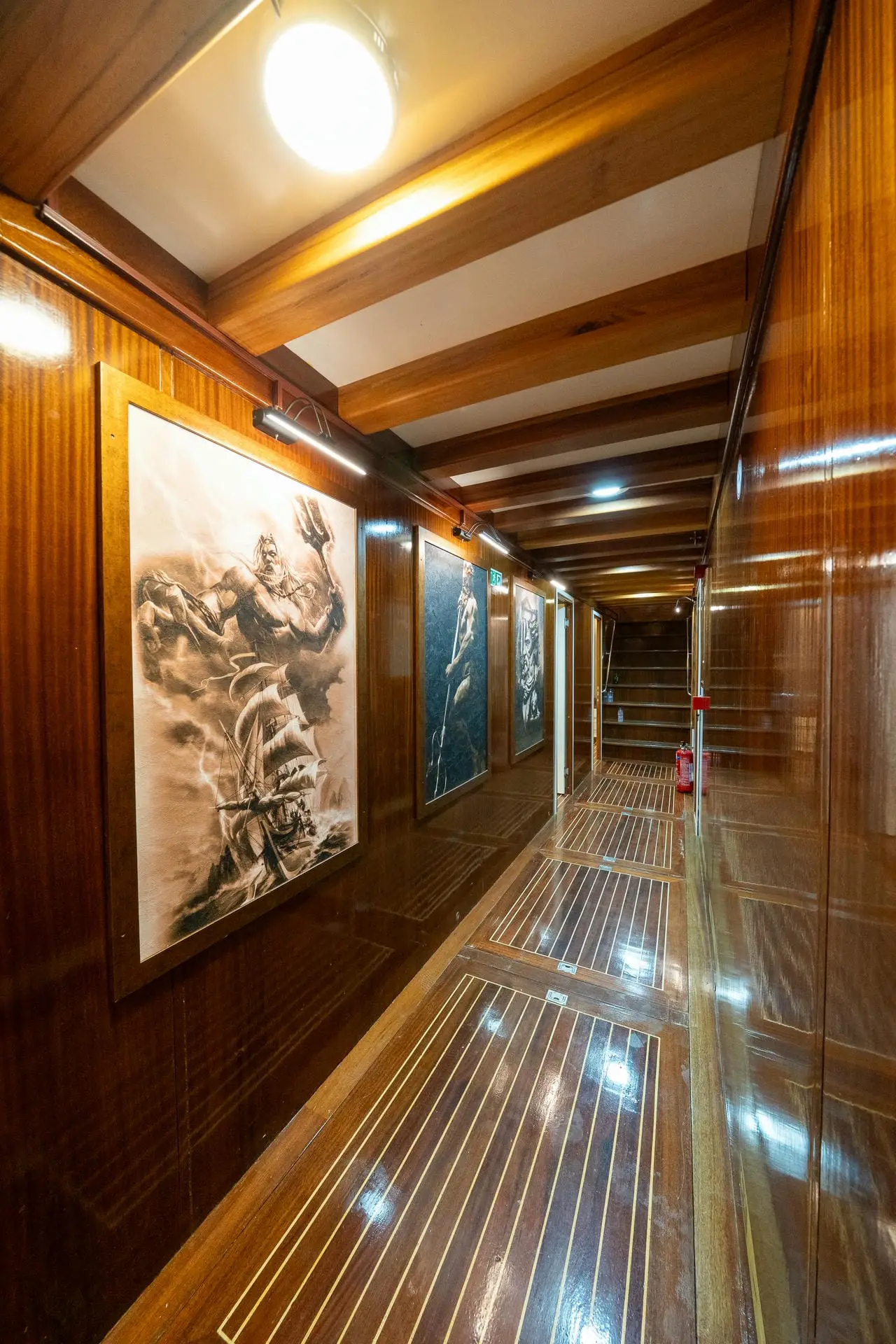 Premium, photograph 135