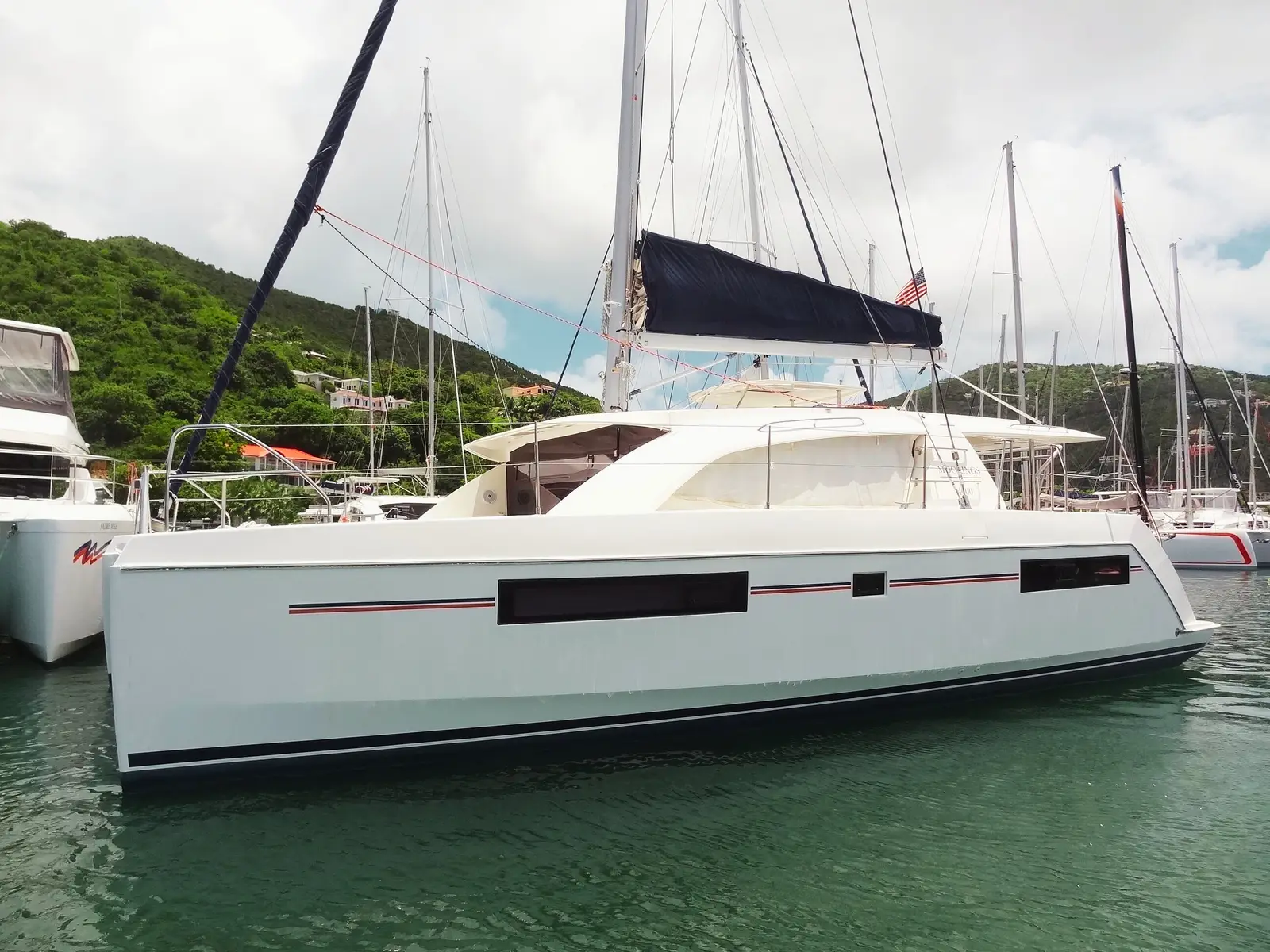 China Cat Sunflower II, Leopard 40