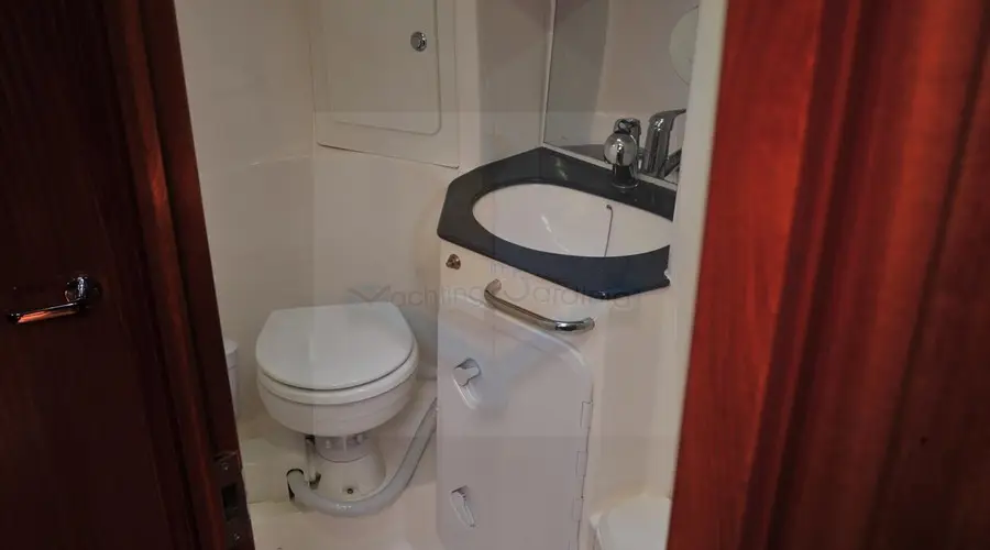 Tommy , Electric Toilet - September 2014