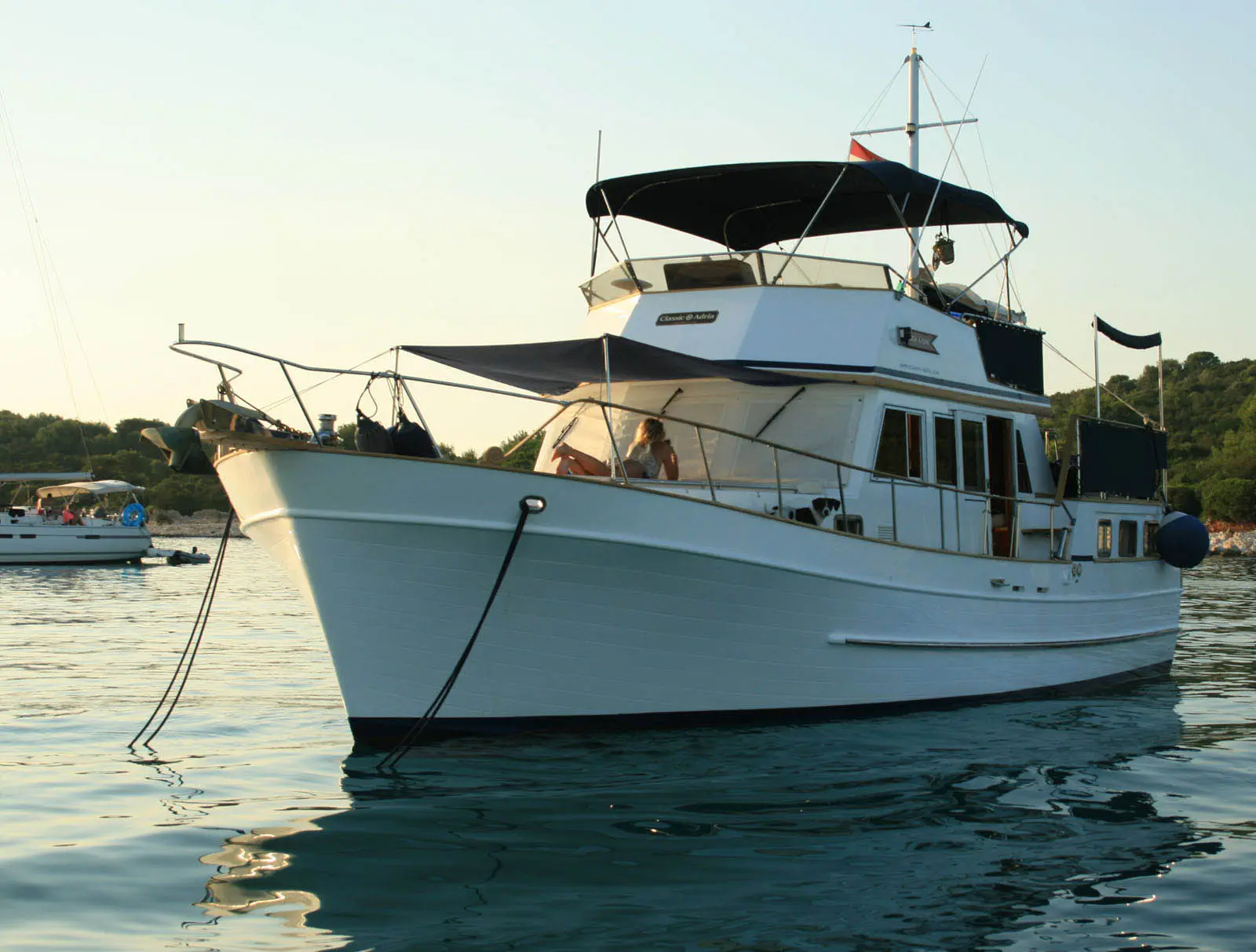 SEA LION, foto 26