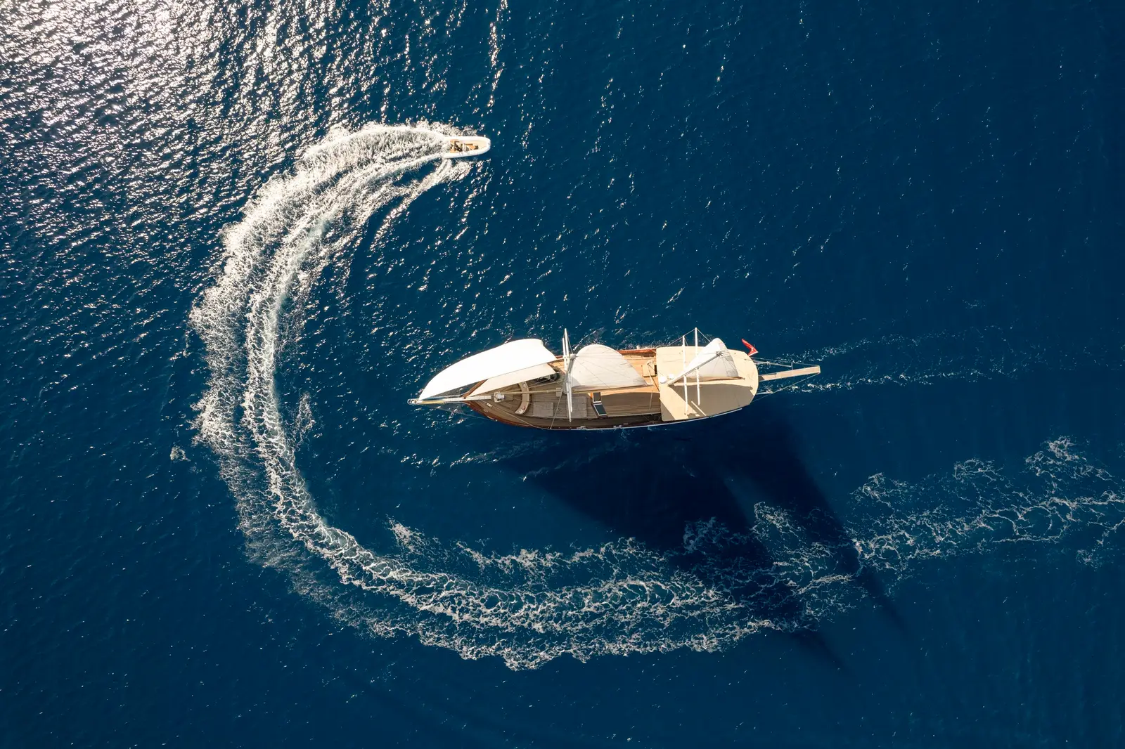 Arabella, photograph 5