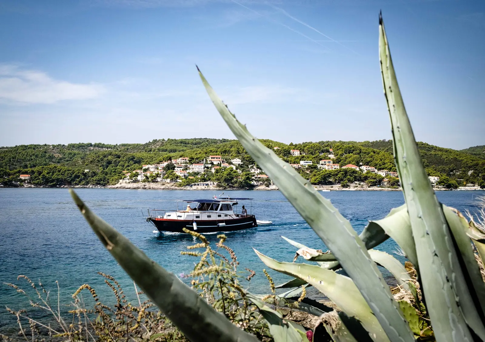 BILI, photograph 29