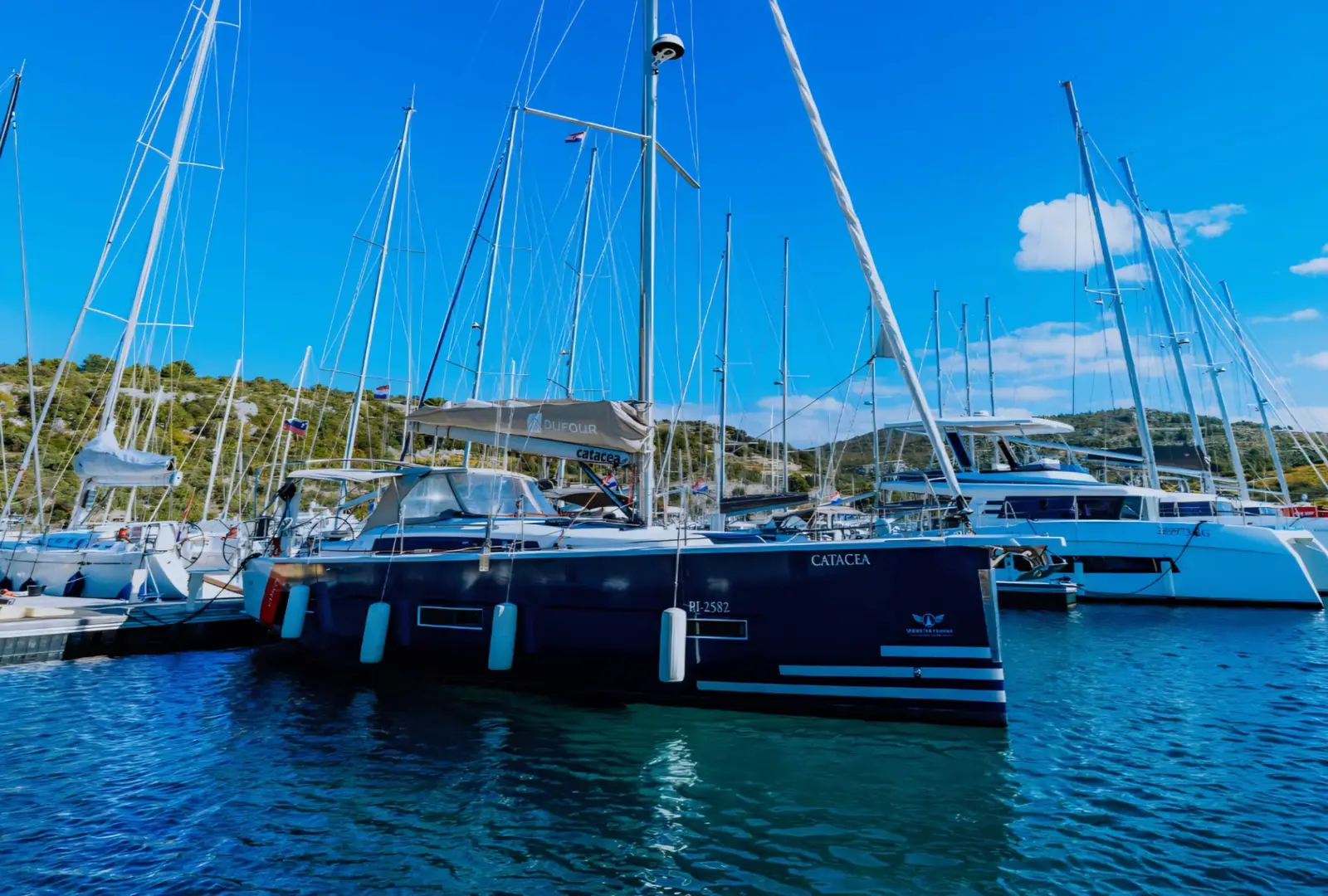 Catacea, Main image