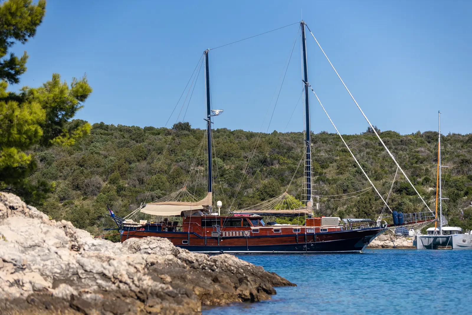 Pacha, foto 24