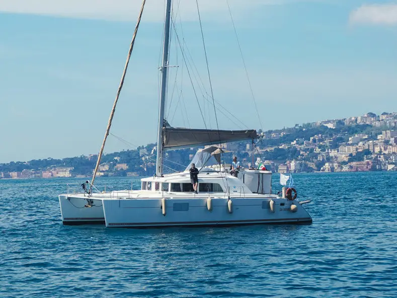 Marlin, Main image