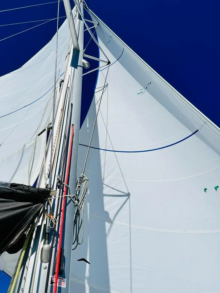 Belle, Sail