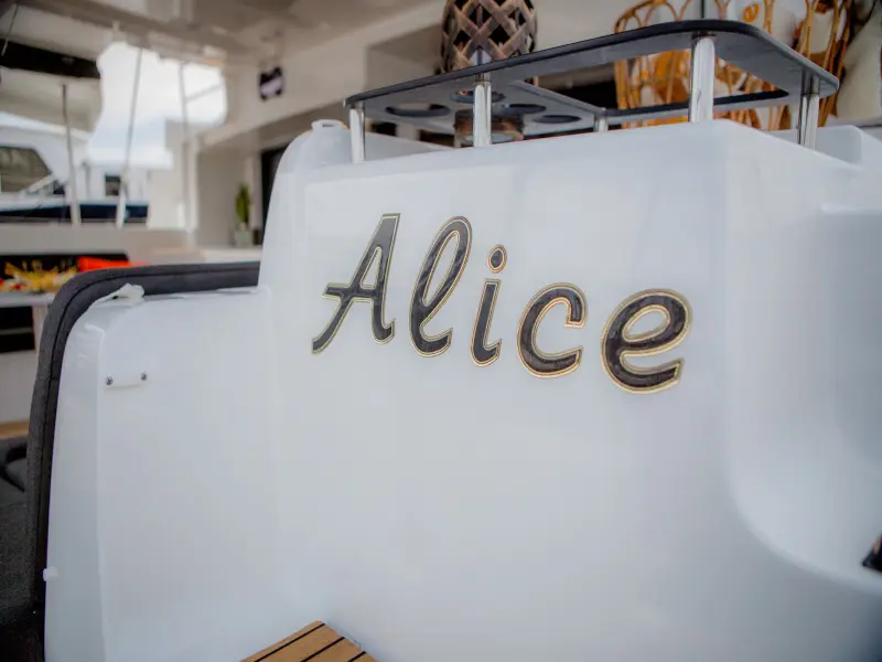 ALICE, photograph 12
