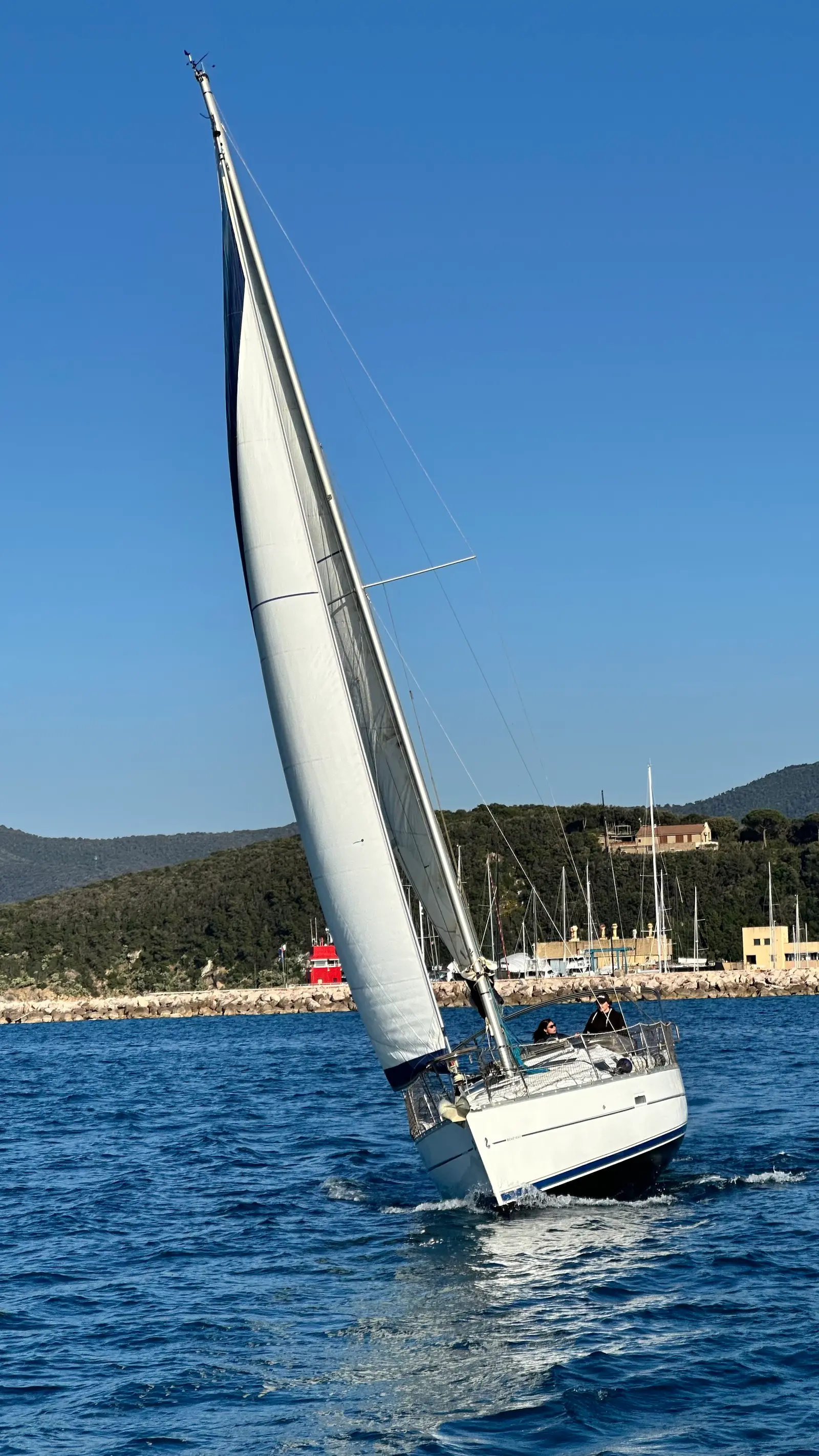 Cassiopea, photograph 3