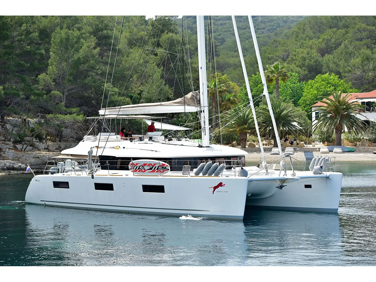 ADRIATIC TIGER, Main image