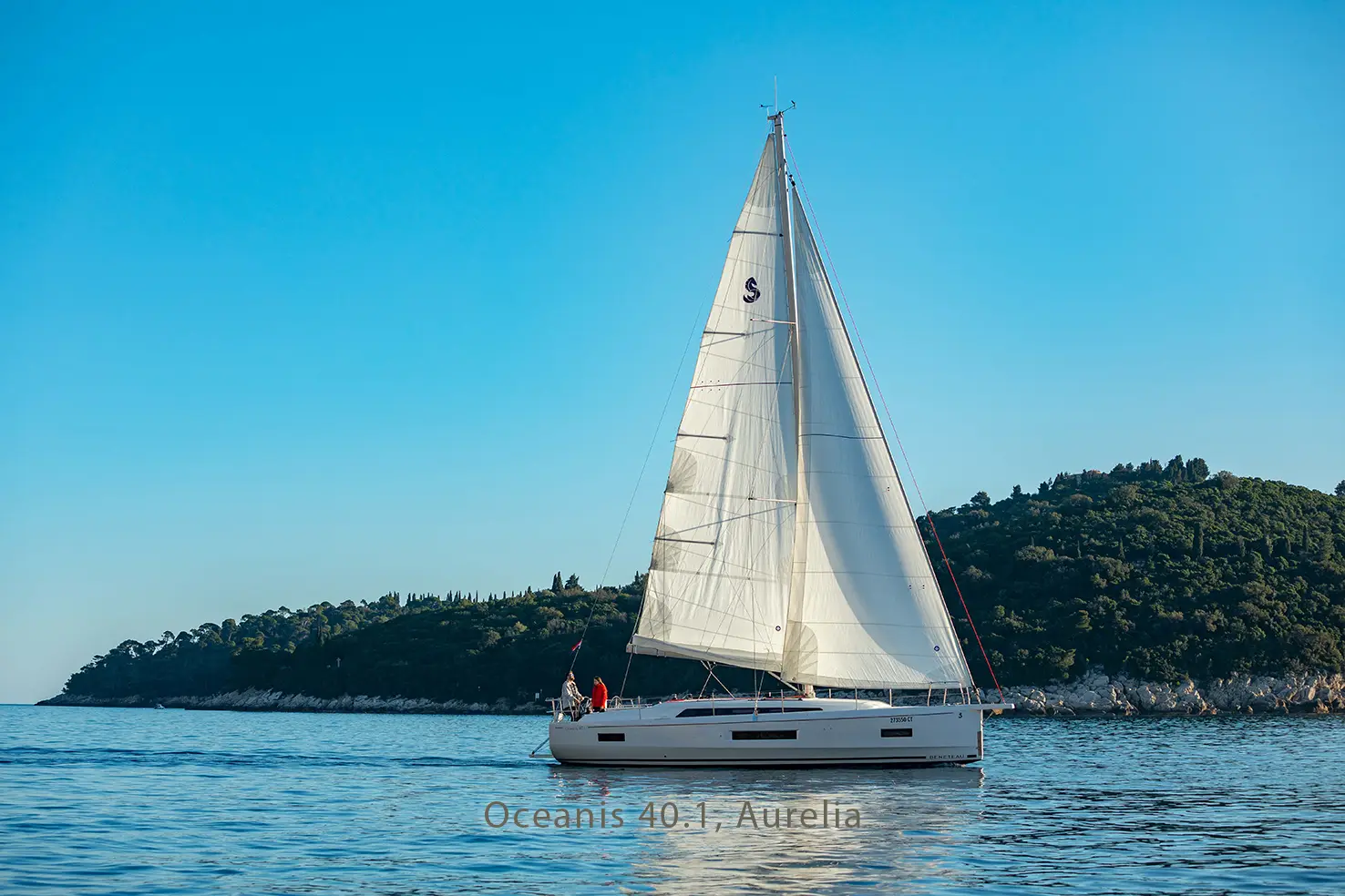 Aurelia, photograph 3