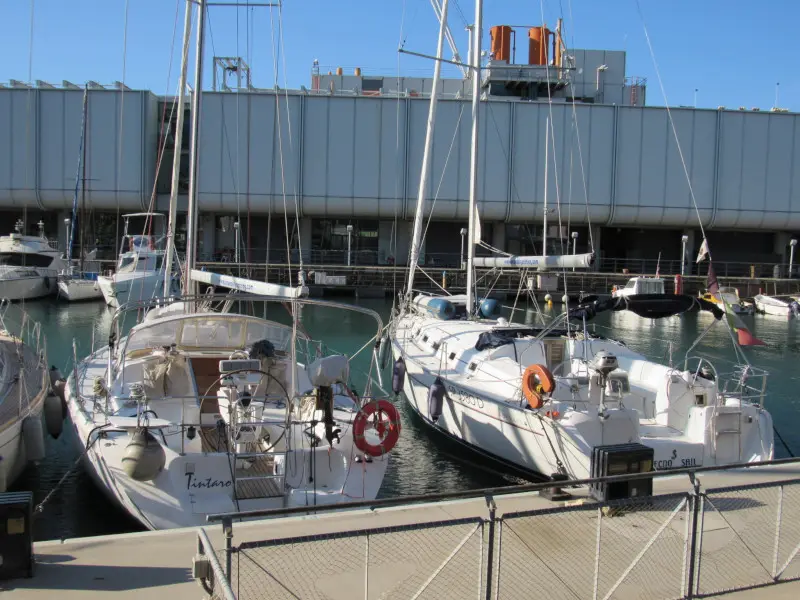 Tecno Sail, photograph 4
