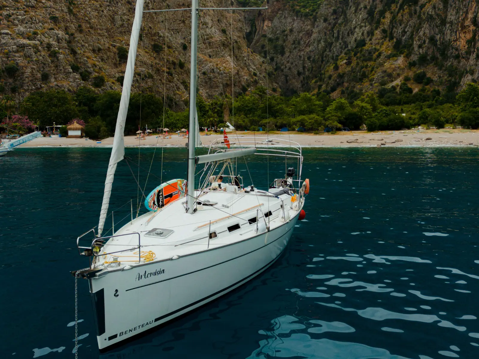 Artemisia, Main image