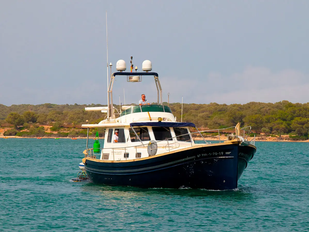 Buccara XI, Main image