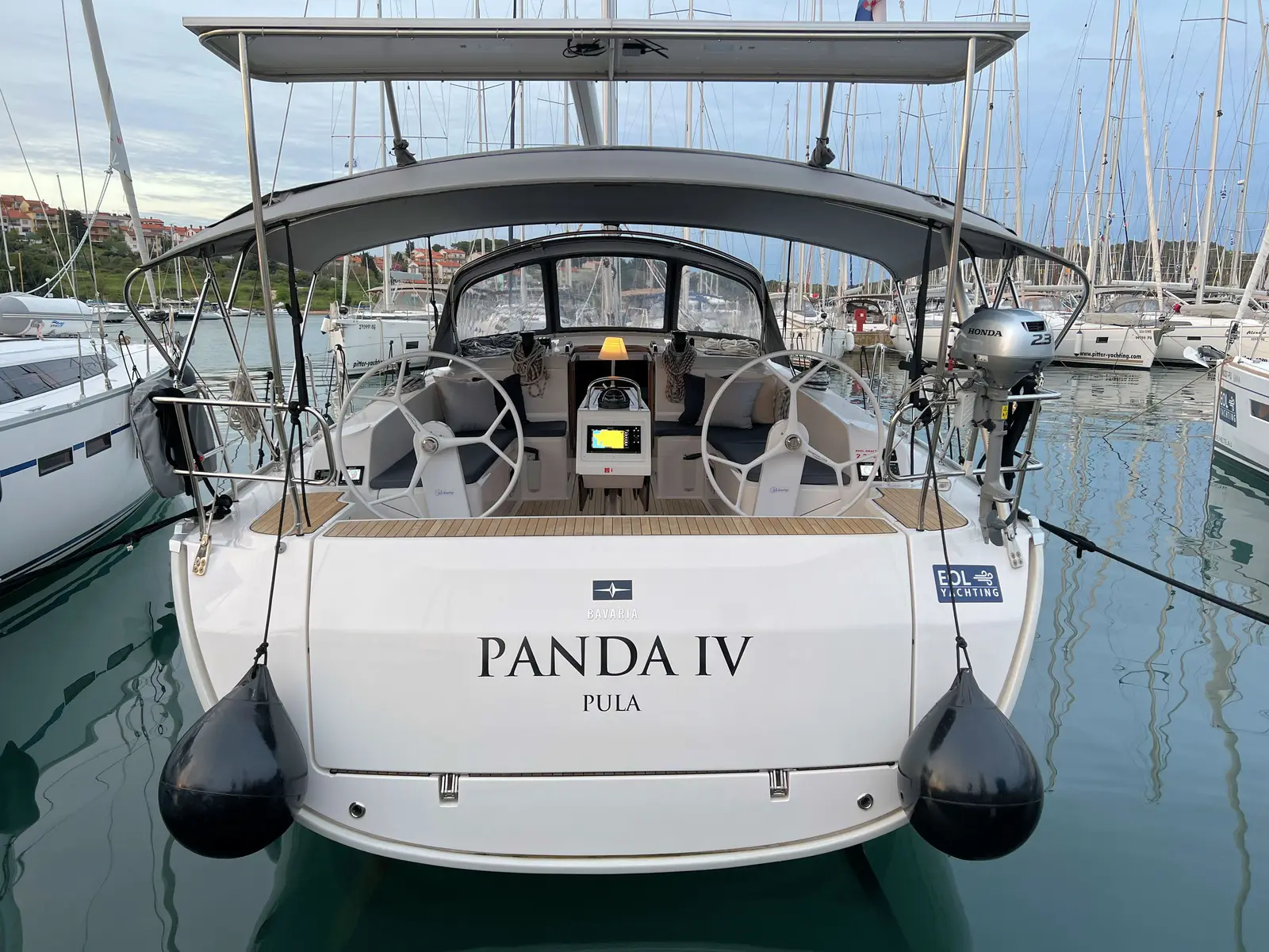 Panda IV, photograph 13