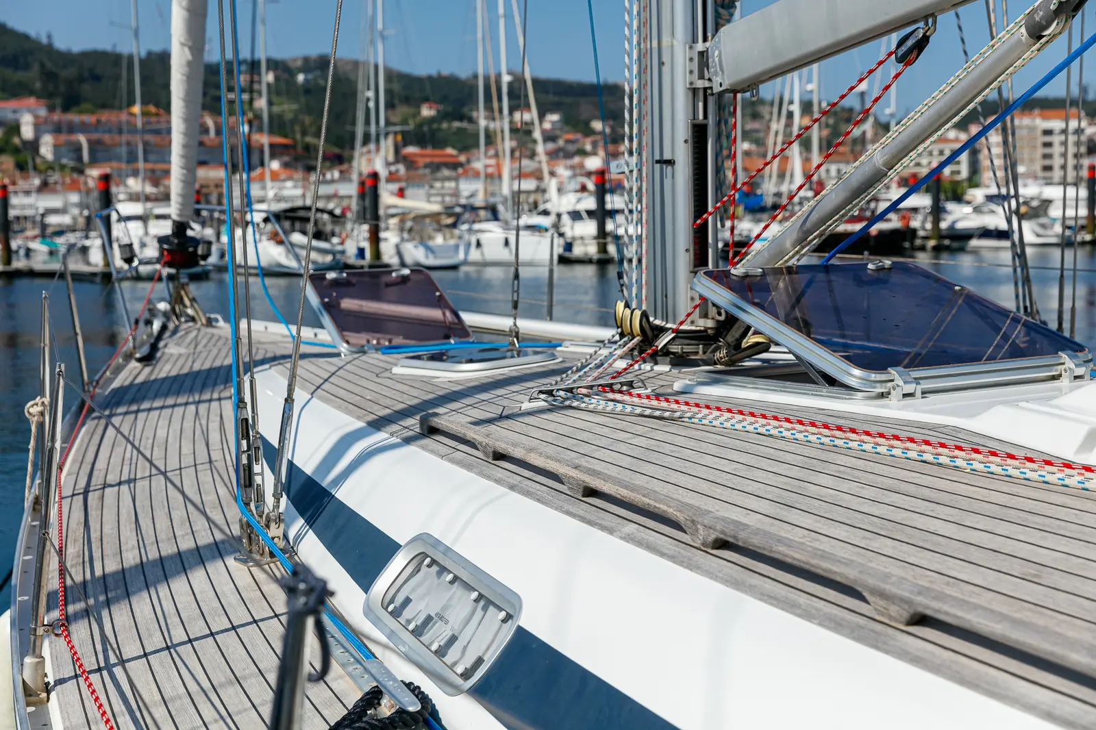 Nemo, photograph 16