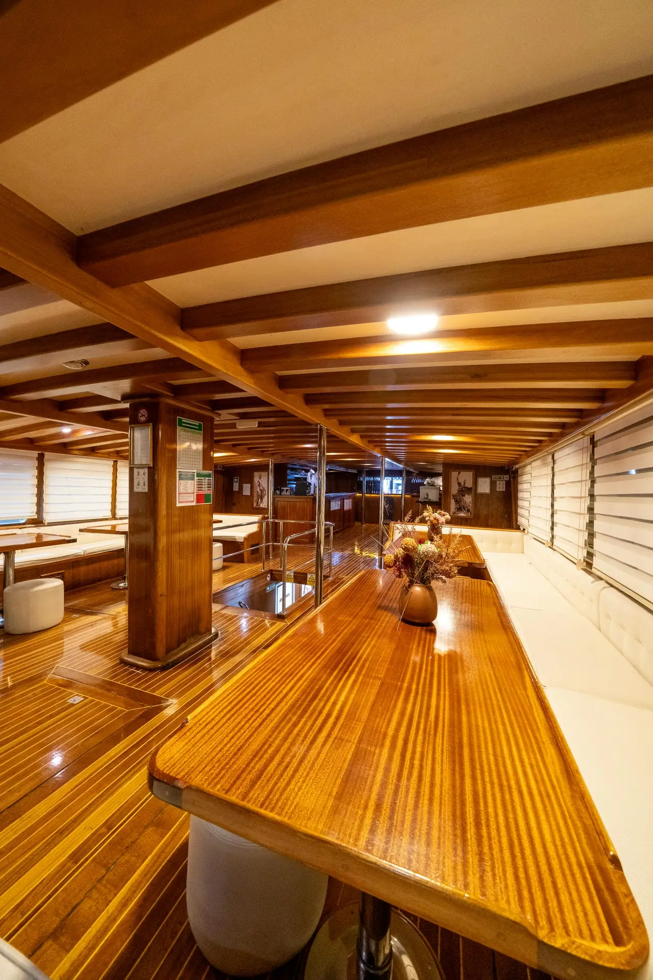 Premium, photograph 151