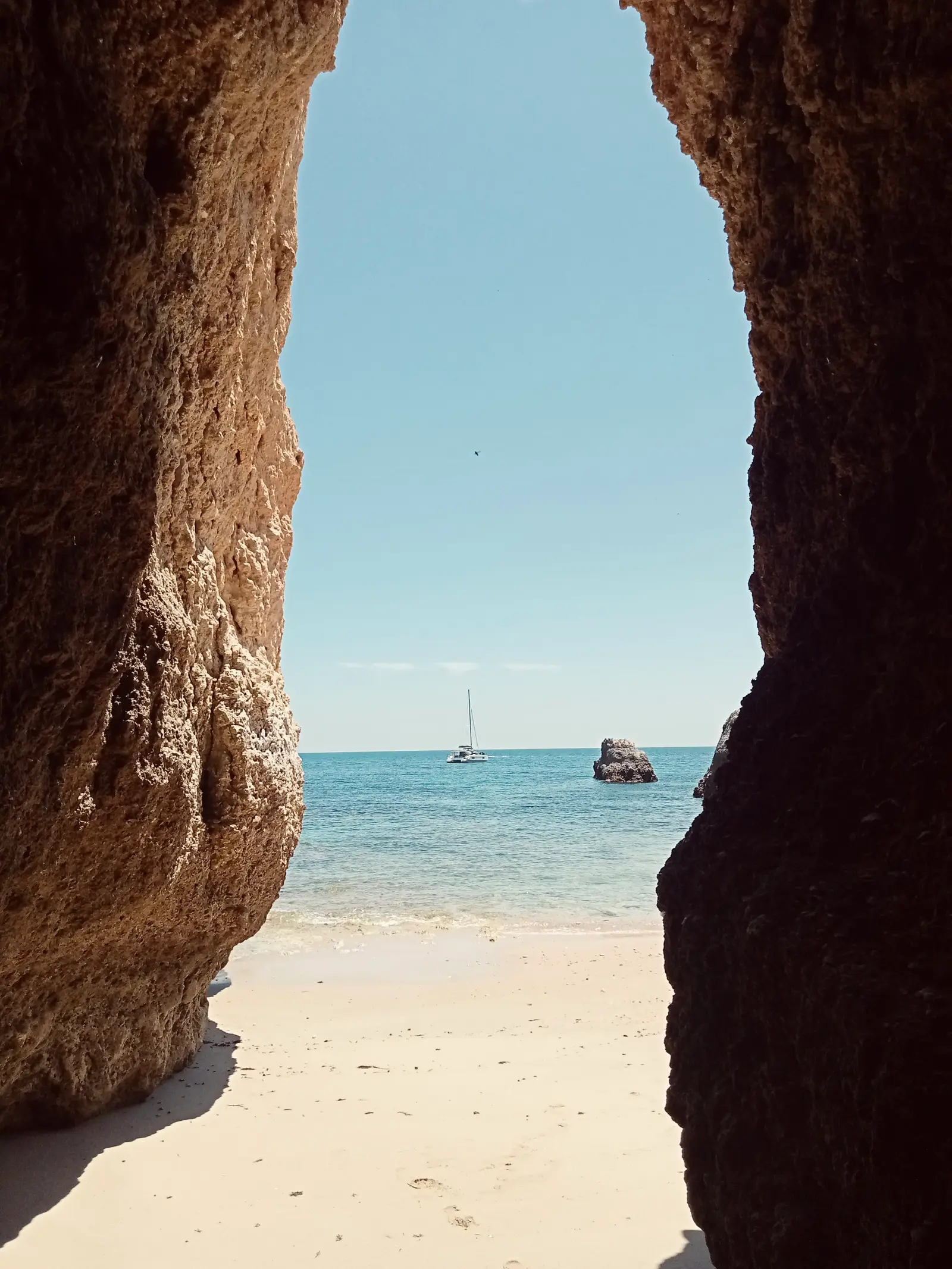Premium +, photograph 33