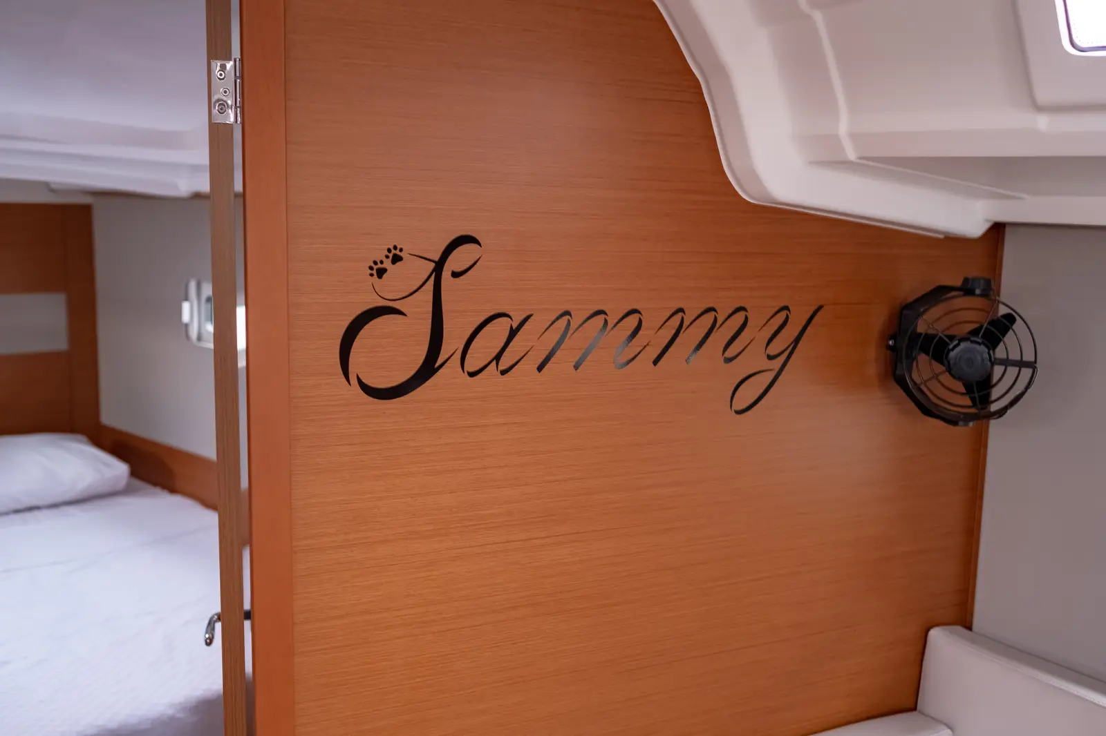 Sammy, photograph 24