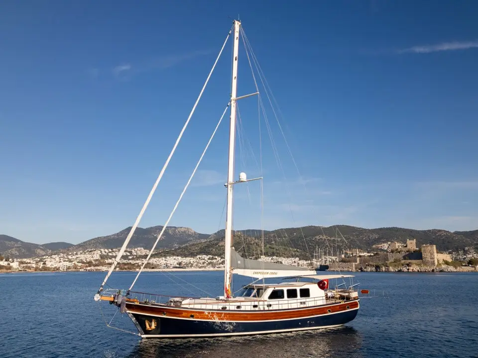 CARPEDIEM CORAL, Main image