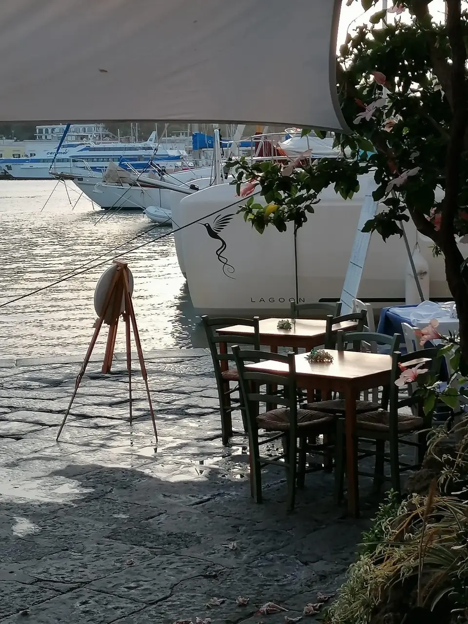 Colibrì Platinum Service, foto 20