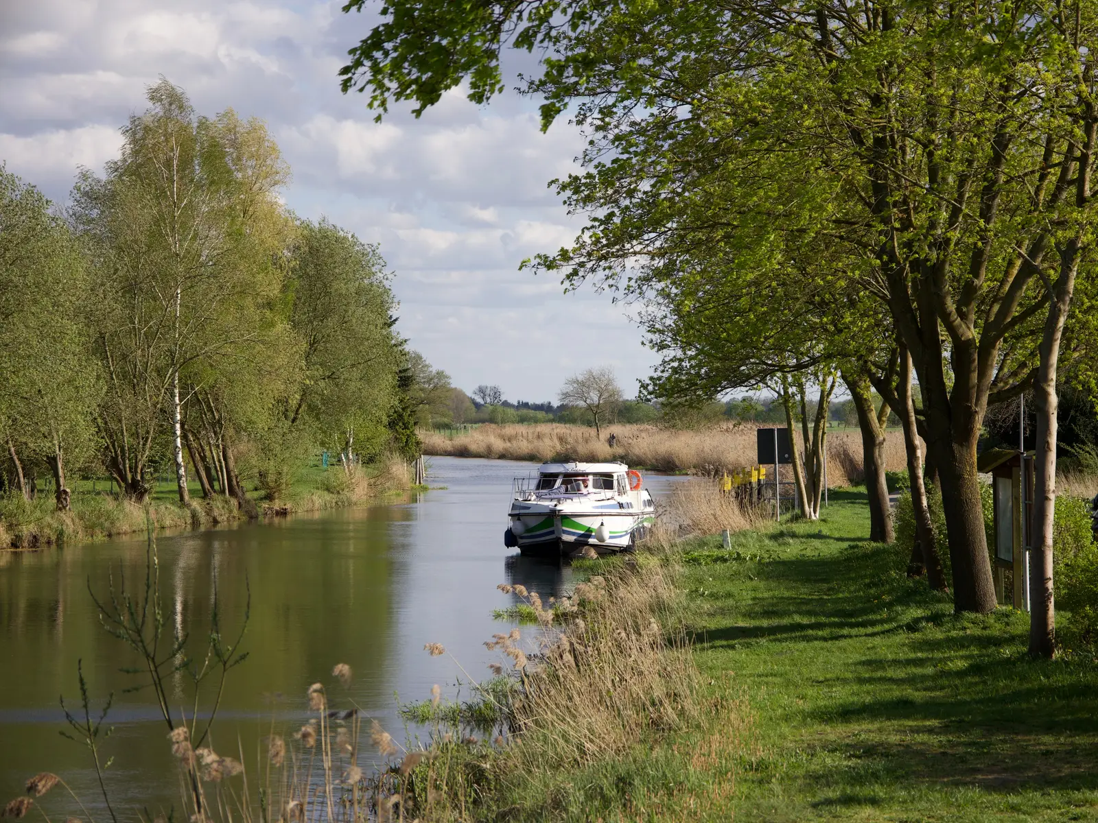 Gaia, Main image