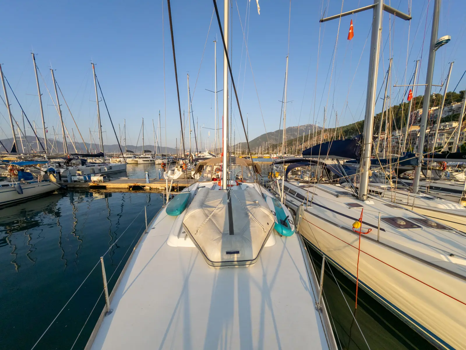 Athena, photograph 7