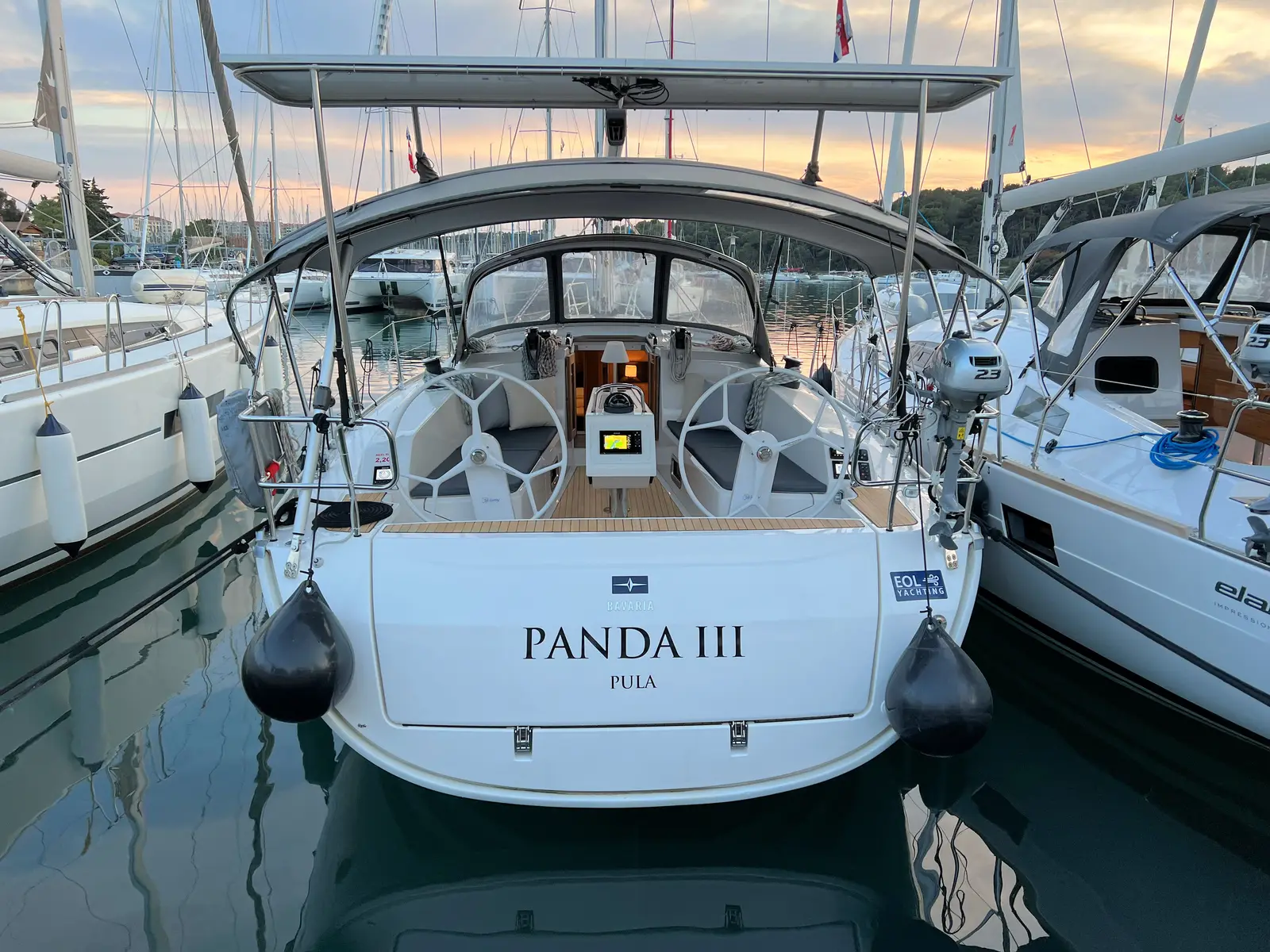 Panda III, photograph 7