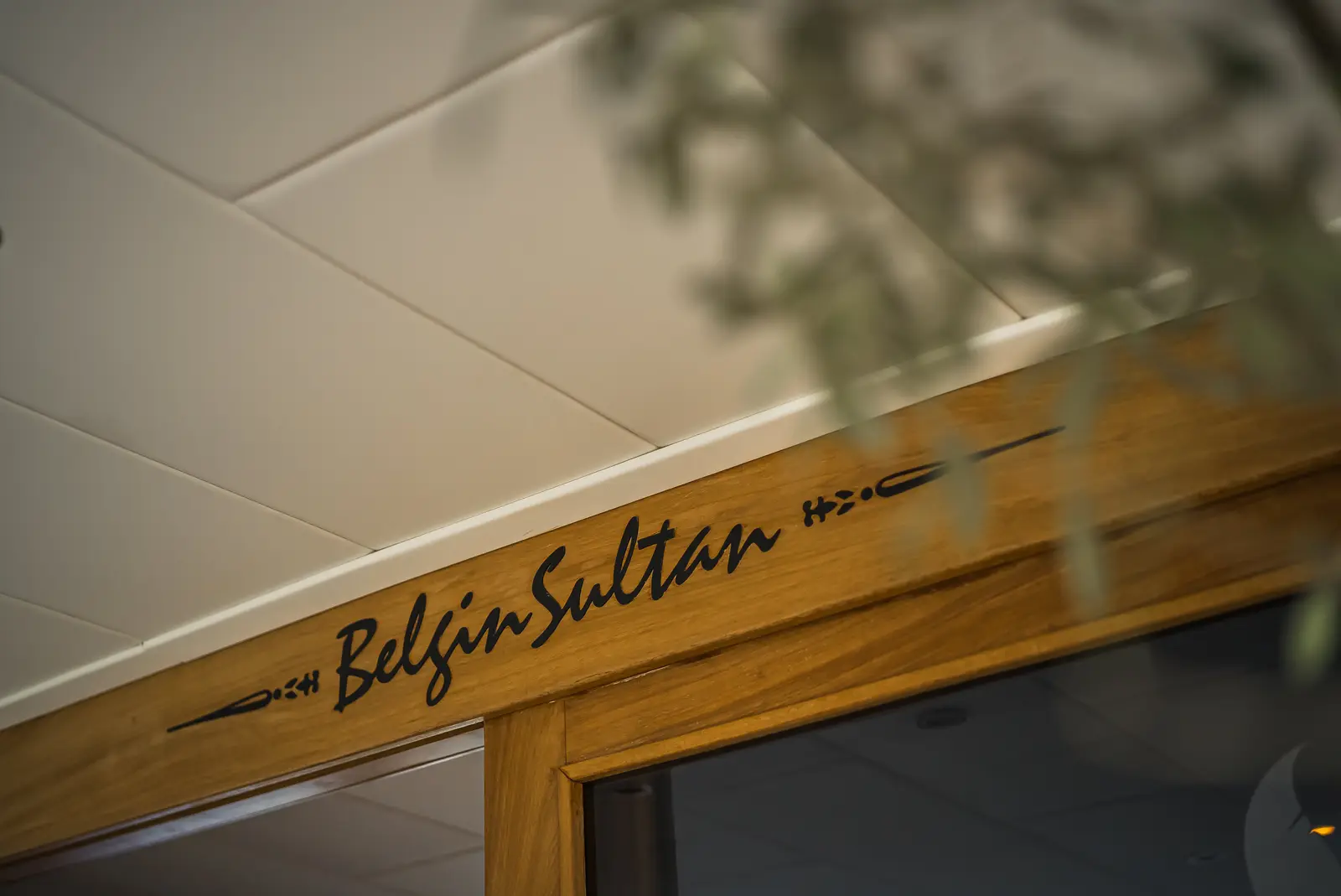 Belgin Sultan, photograph 37