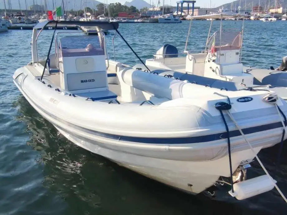 Wally Gator, Main image