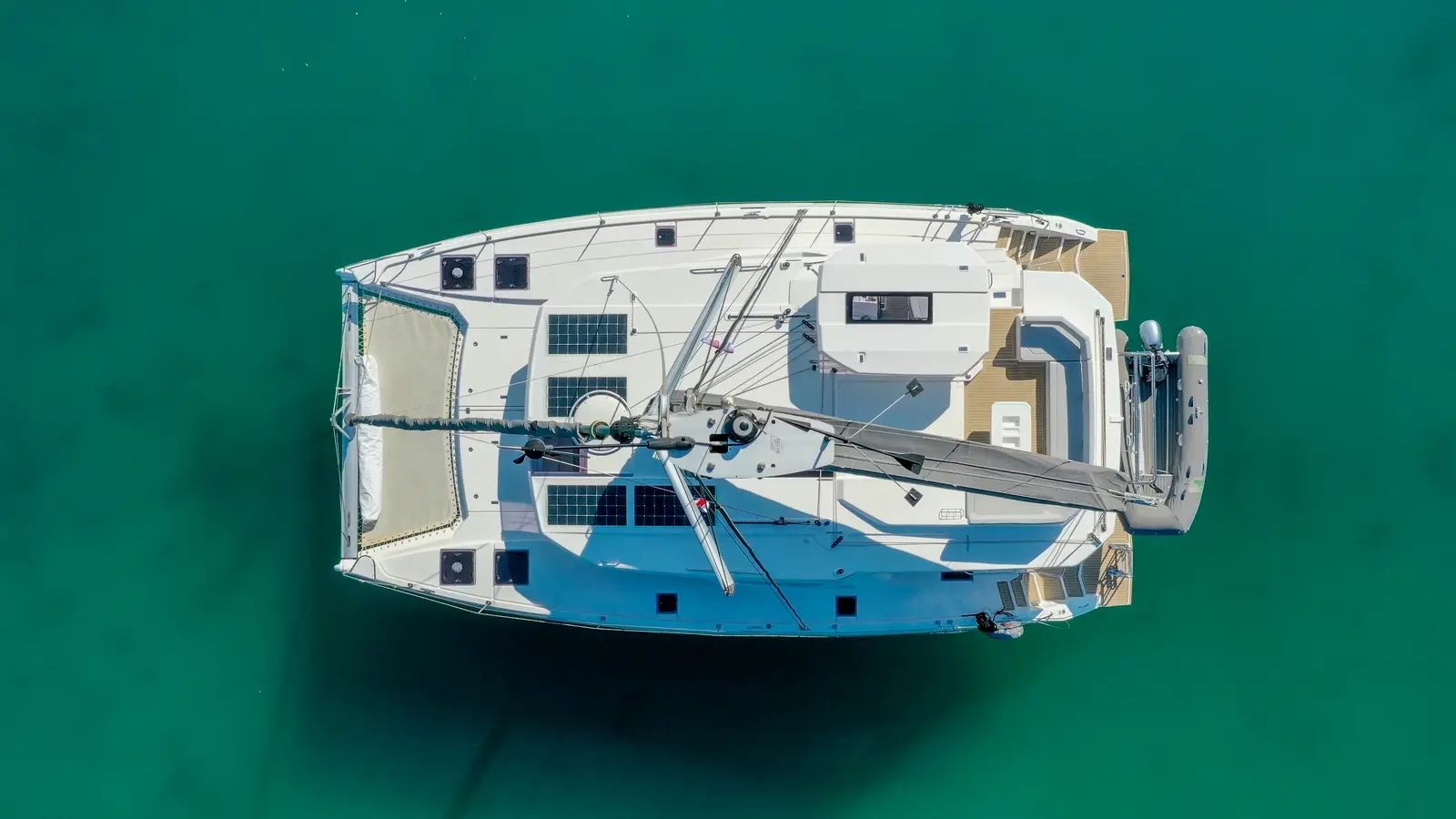 Manaphy, photograph 29