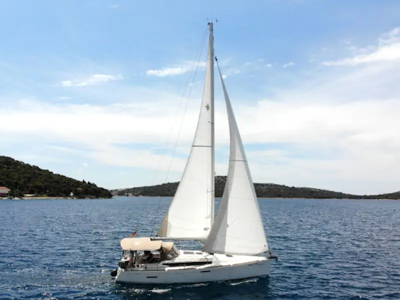 Amadeus, Main image