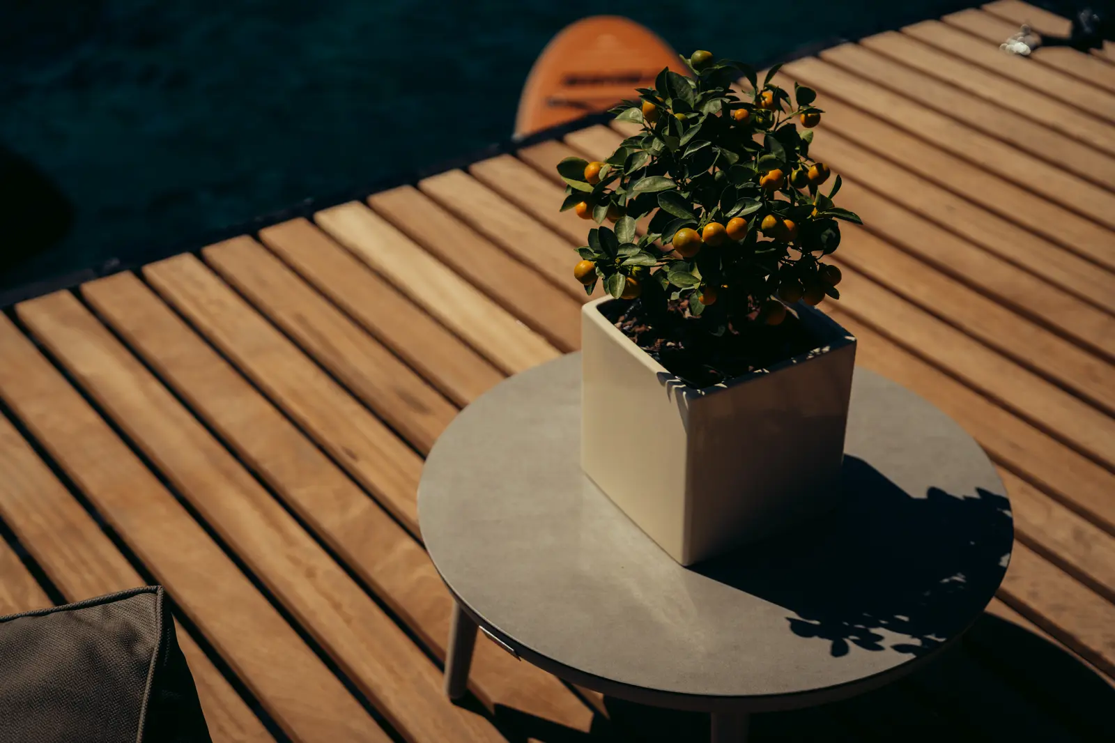 Honeymoon, photograph 6
