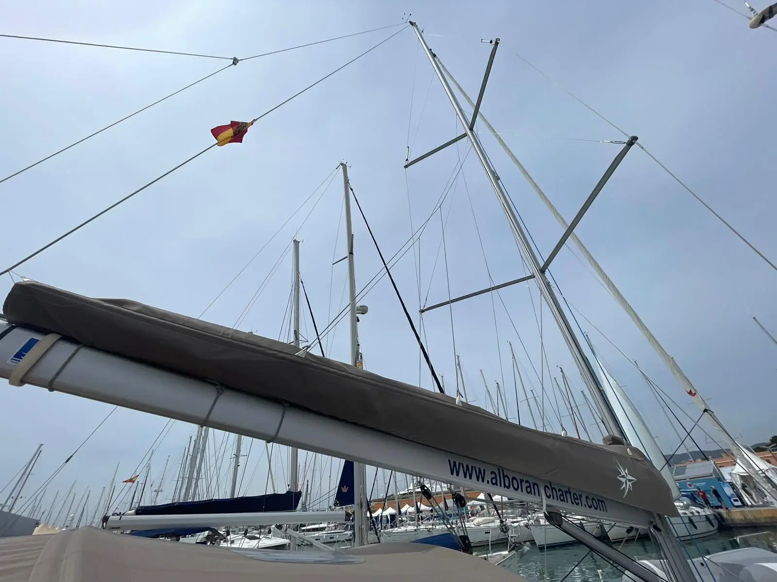 Alboran Amaretto, photograph 20