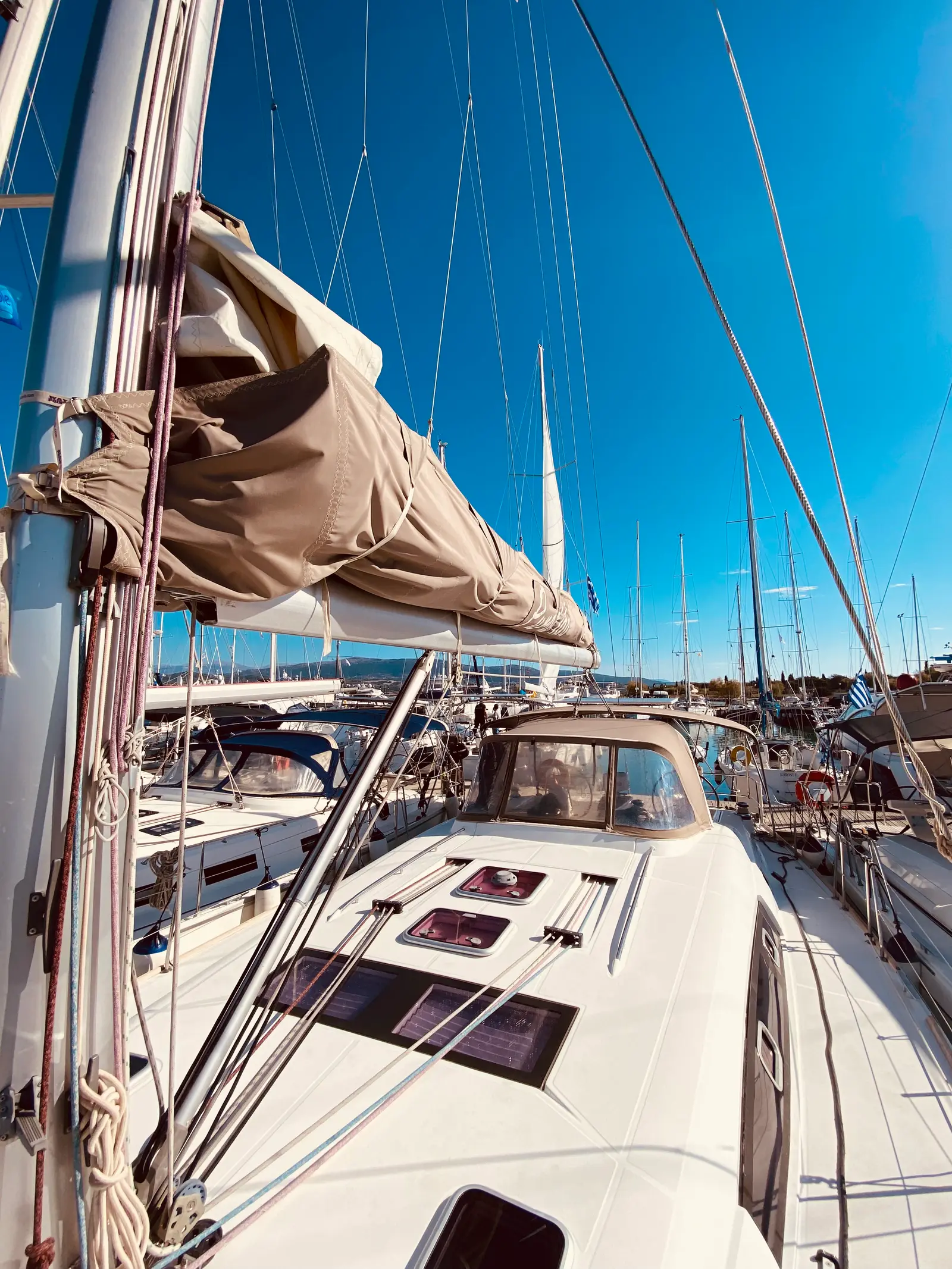 Pura Vida (Pax 12), photograph 9
