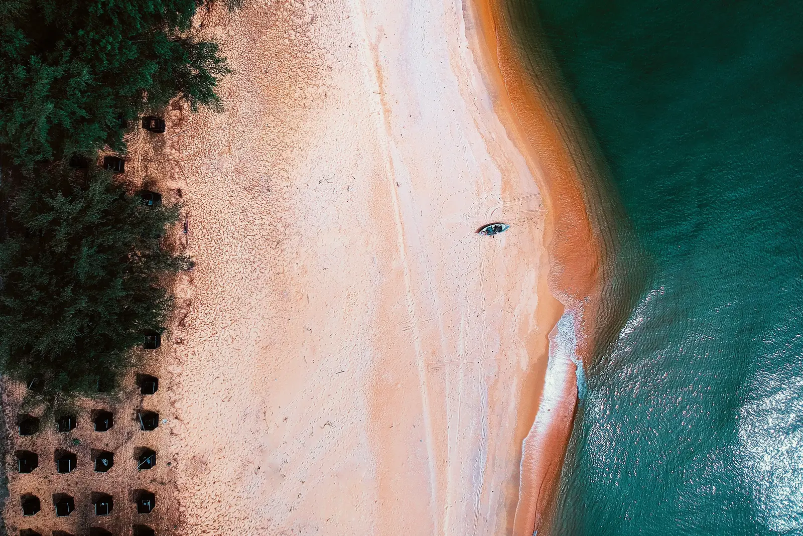 Lila Trawler, photograph 13