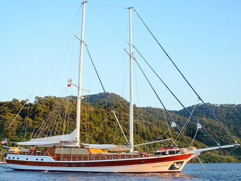 , Main image