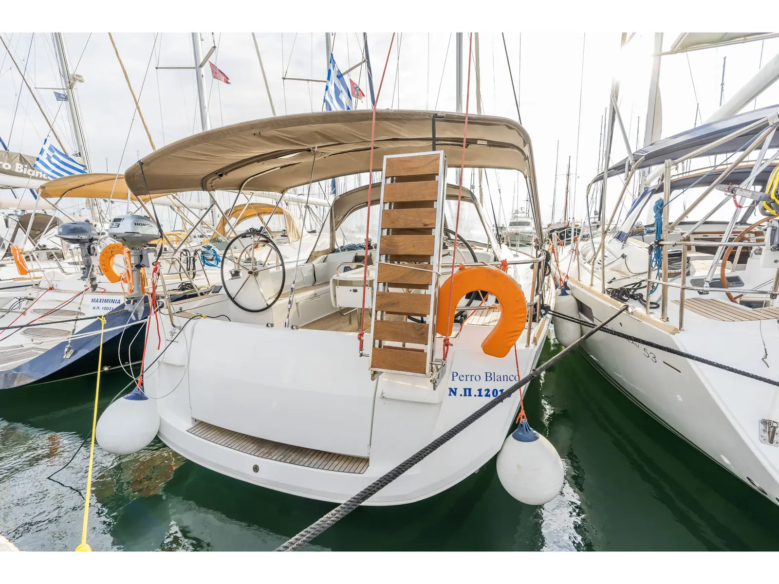 PERRO BLANCO, Sun Odyssey 519