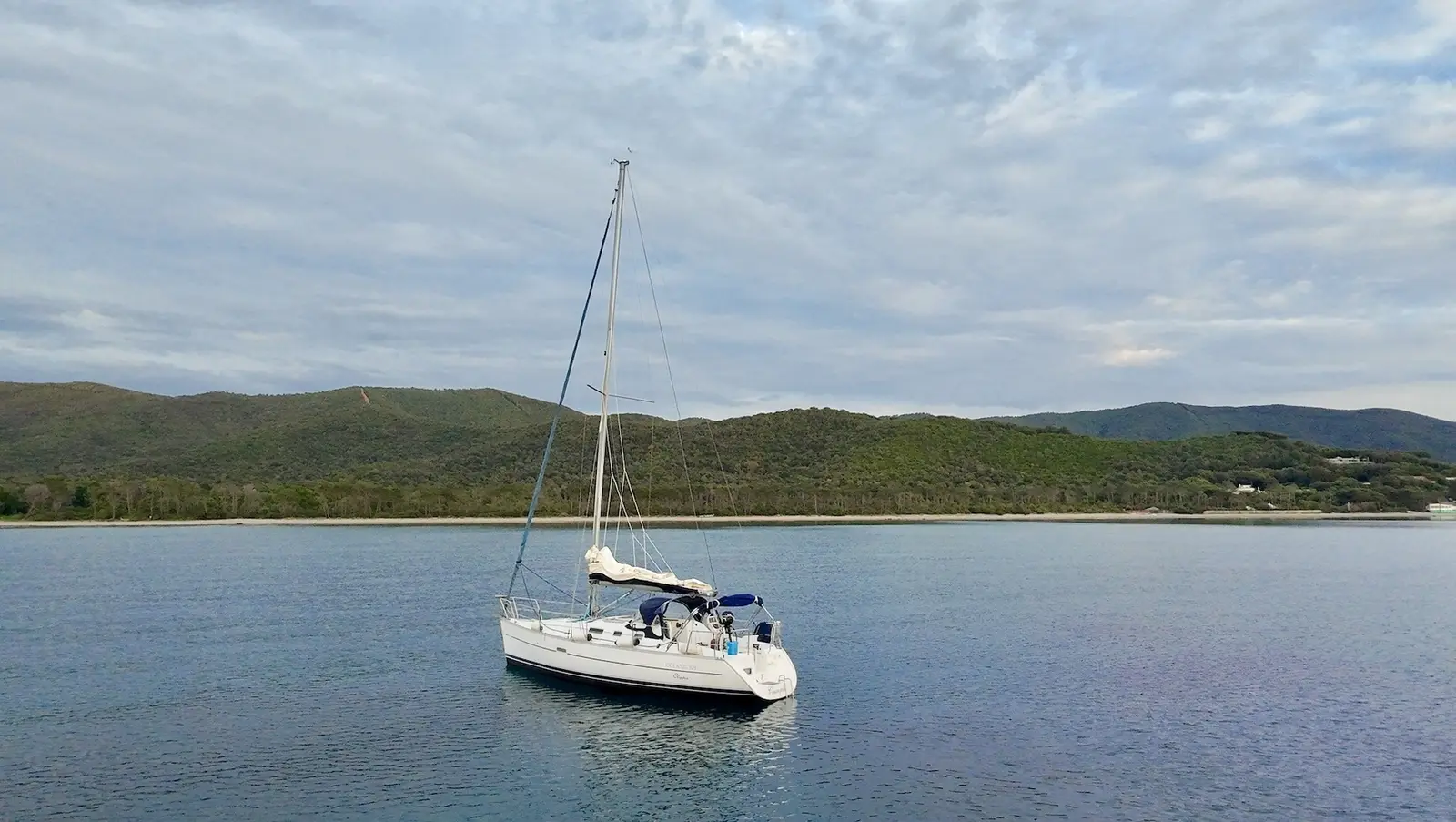 Cassiopea, photograph 29