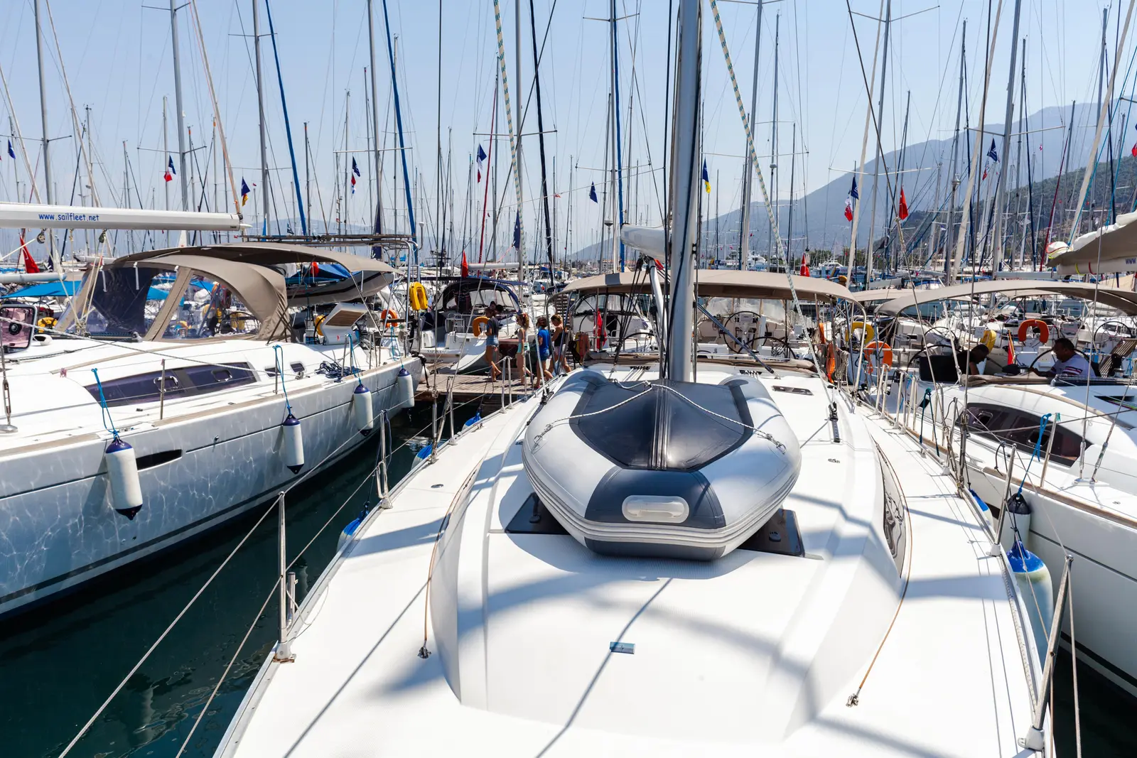 Sail Vega, photograph 14