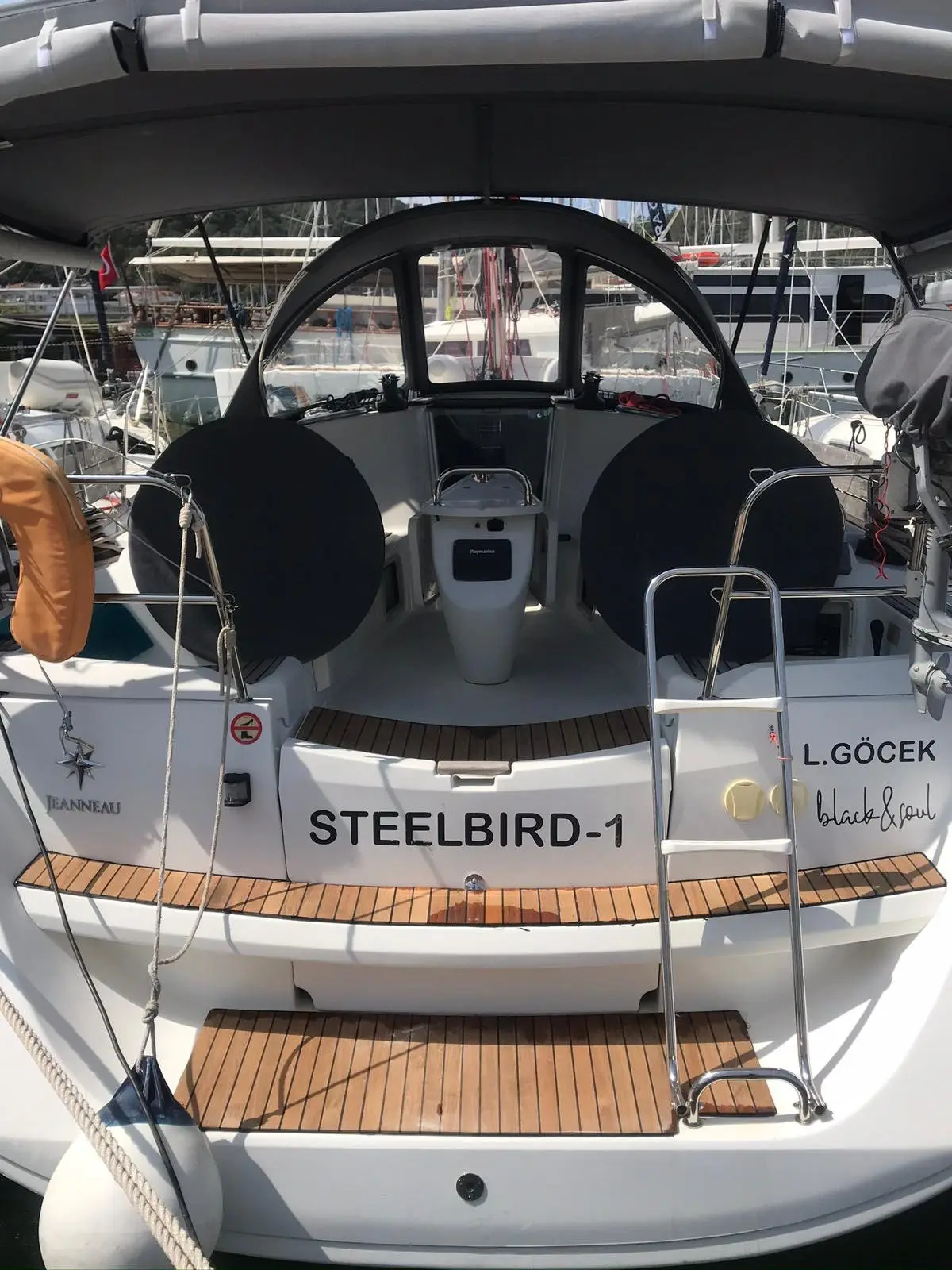 Steelbird I, photograph 31