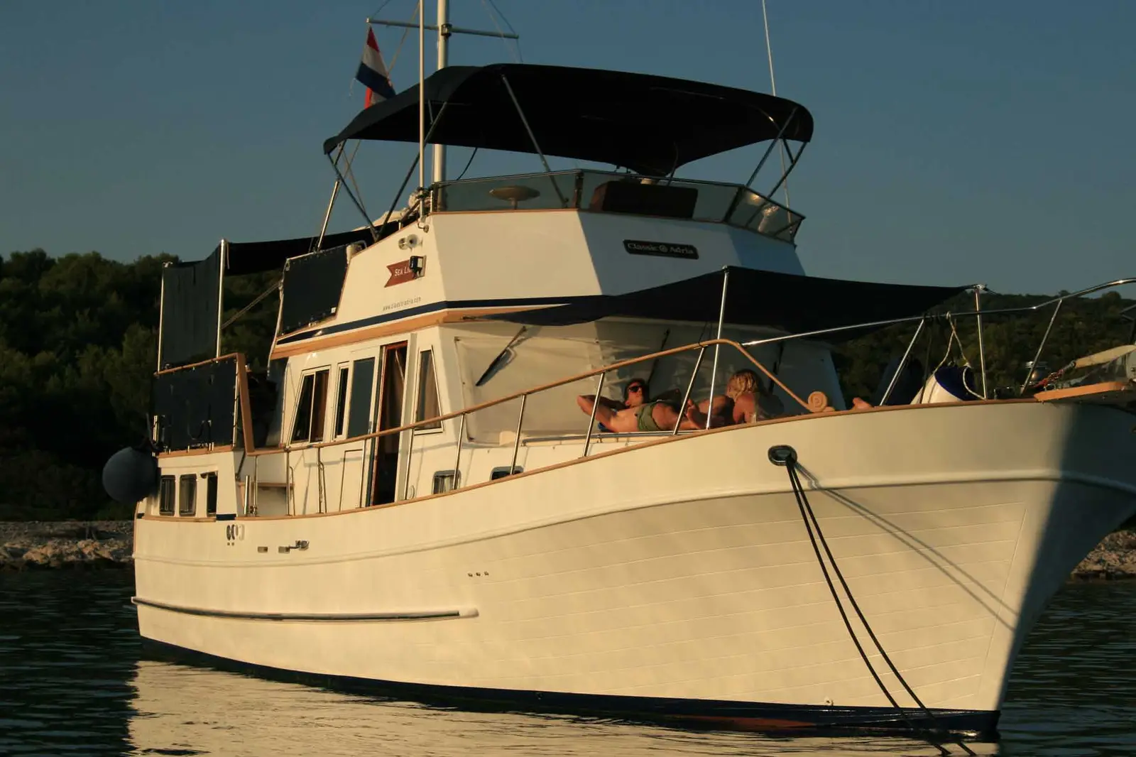 SEA LION, foto 24