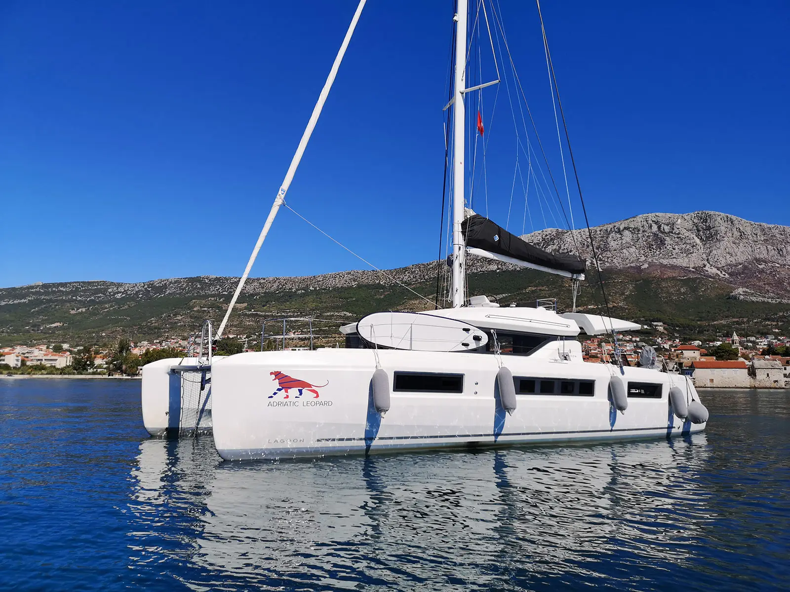 ADRIATIC LEOPARD , Main image