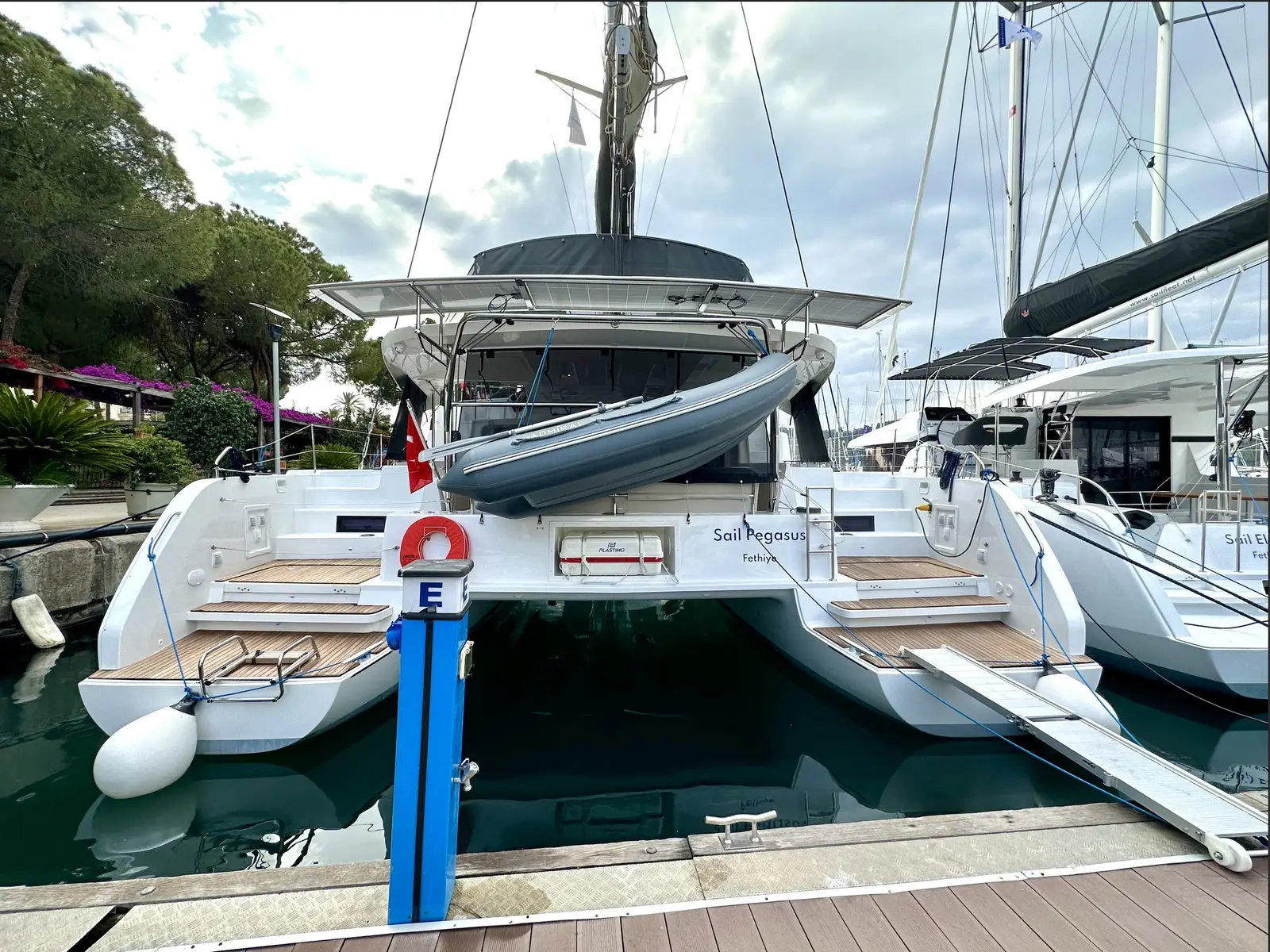 Sail Pegasus, photograph 4