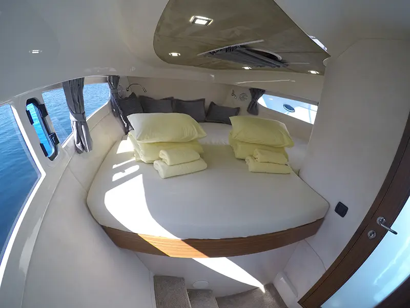 Morski konjic, Marex 320 ACC