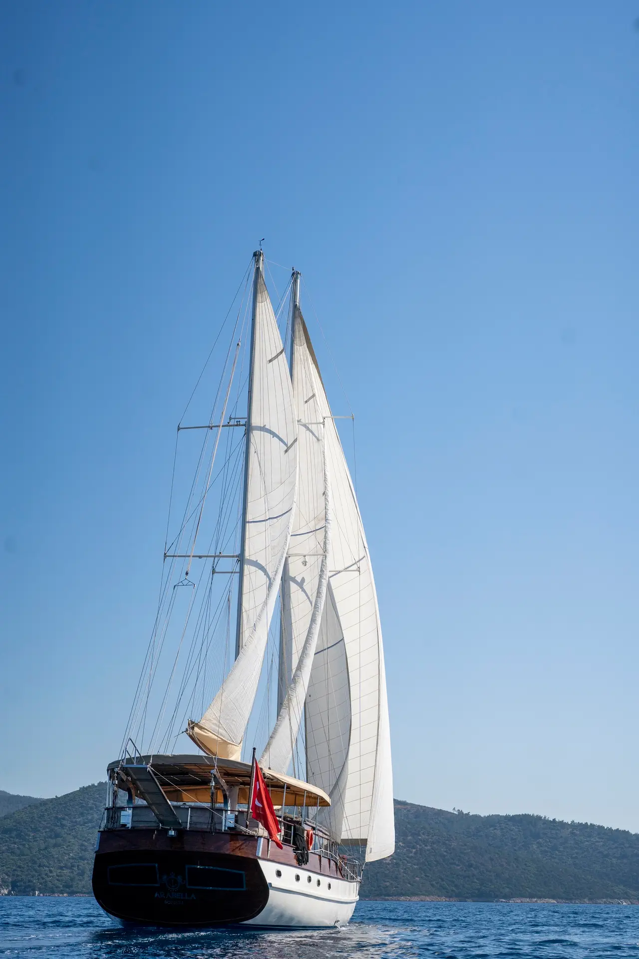 Arabella, photograph 19