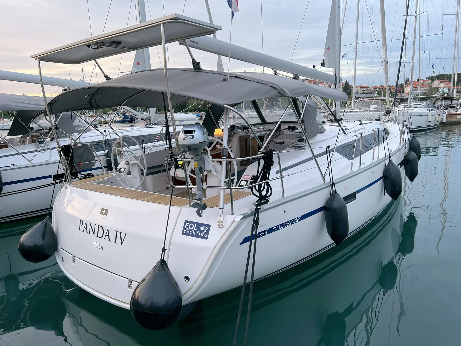 Panda IV, photograph 3