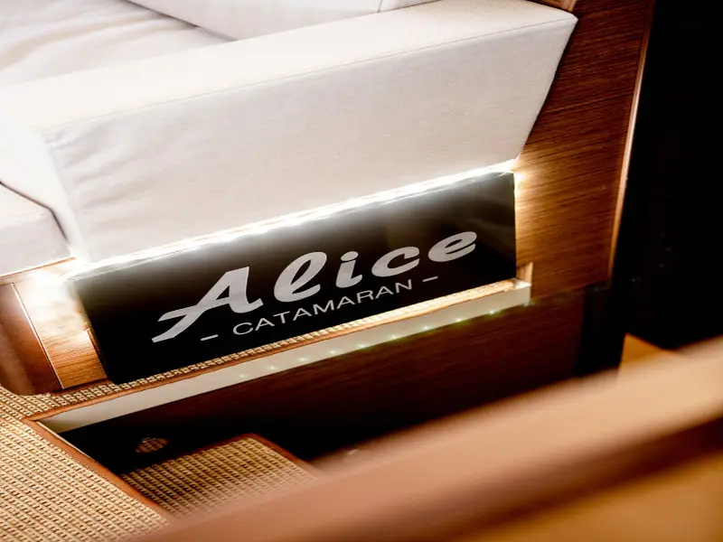 ALICE, photograph 132